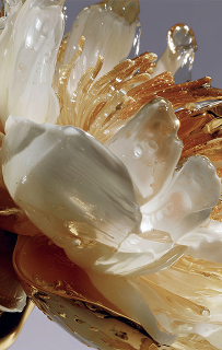 Frame 1000001139 (7) Frame 1000001139 (7)